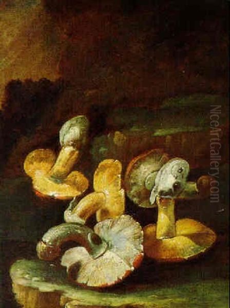 Natura Morta Con Funghi Oil Painting by Paolo Cattarama