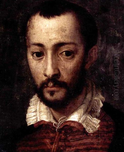 Portrait Of Francesco I De'medici (1541-1587), Head And Shoulders, Wearing A Black And Red Jacket With A White Collar Oil Painting by Mirabello Cavalori