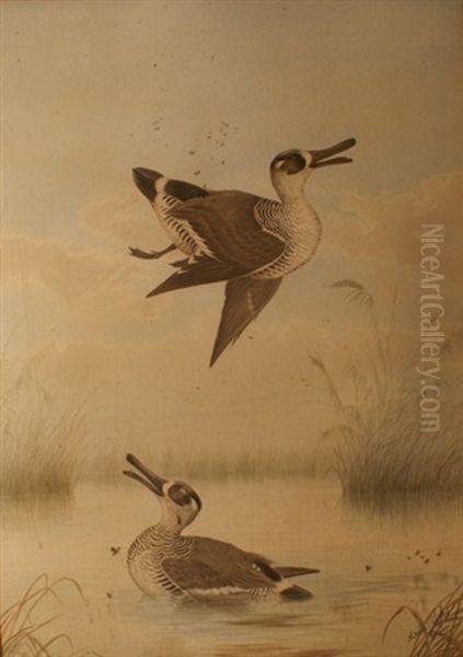 Shot Duck Oil Painting by Neville Henry Pennington Cayley