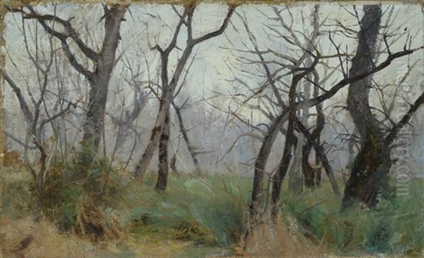 Alberi Oil Painting by Eugenio Cecconi