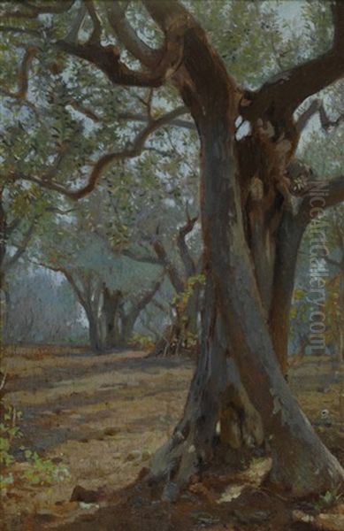 Alberi Oil Painting by Eugenio Cecconi