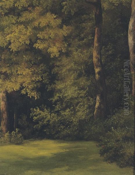 Fallen Tree Trunks On A Forest Floor (+ A Woodland Clearing; 2 Works) Oil Painting by Jean-Michel Cels