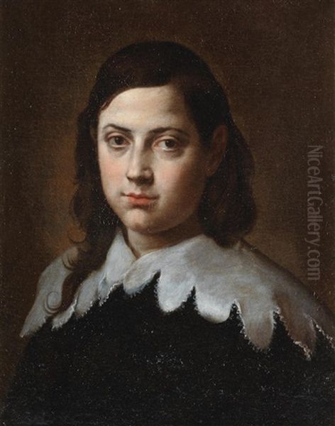 Portrait Of A Young Boy, Bust-length, In Black Costume With A White Lace Collar Oil Painting by Carlo Ceresa