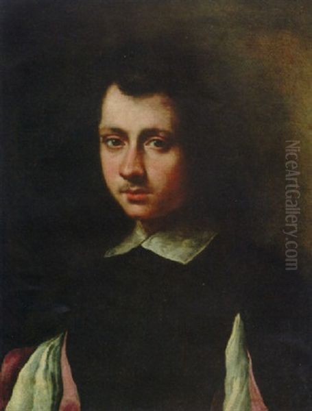 Portrait Of A Young Man In A Black Doublet With Slashed Sleeves And A White Collar Oil Painting by Carlo Ceresa