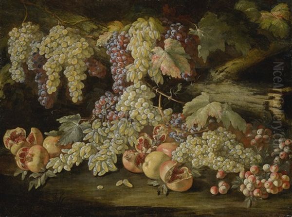 Still Life Of Grapes Oil Painting by Michelangelo Cerquozzi