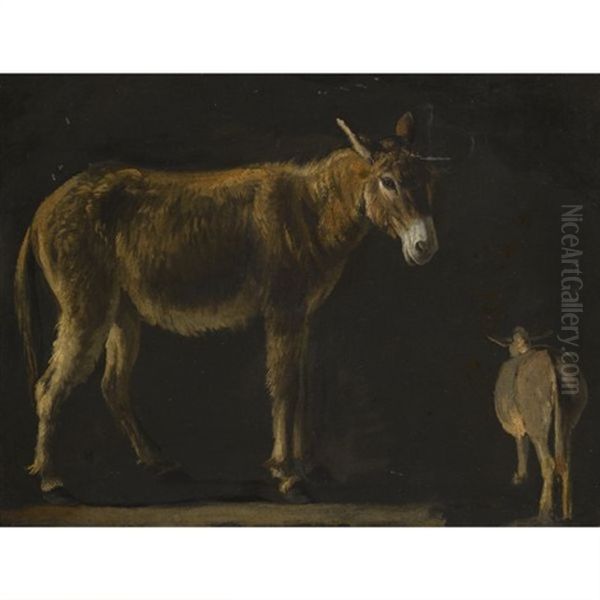 A Donkey (studies) Oil Painting by Michelangelo Cerquozzi