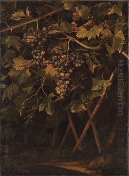 Un Cep De Vigne Oil Painting by Michelangelo Cerquozzi