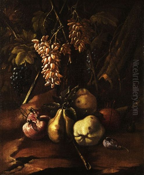 Fruchtestilleben Oil Painting by Michelangelo Cerquozzi