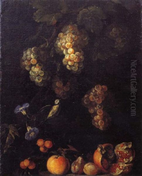 Nature Morte De Raisins, Grenades, Fraises Oil Painting by Michelangelo Cerquozzi