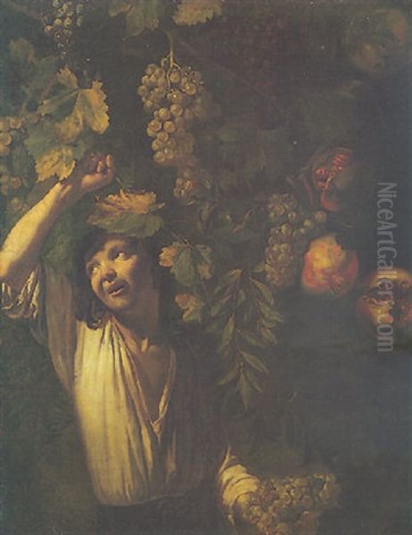 Portrait Of A Youth Beneath A Vine And A Pomegranate Tree Oil Painting by Michelangelo Cerquozzi