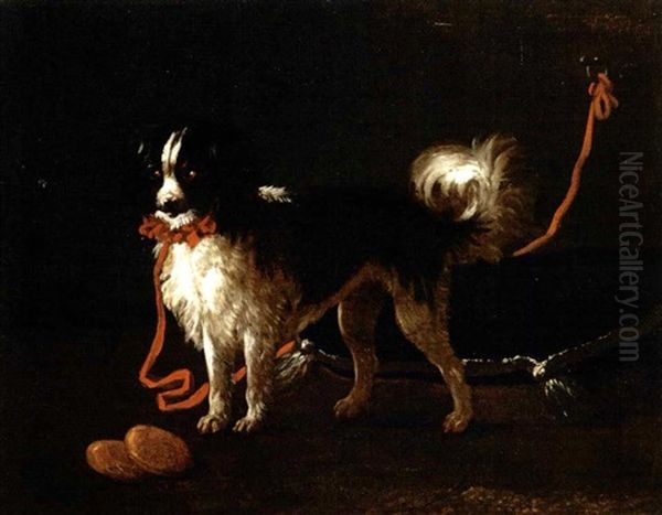 Ritratto Di Spaniel Con Collare Rosso Oil Painting by Giacomo Ceruti