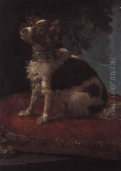 A Spaniel On A Cushion Oil Painting by Giacomo Ceruti