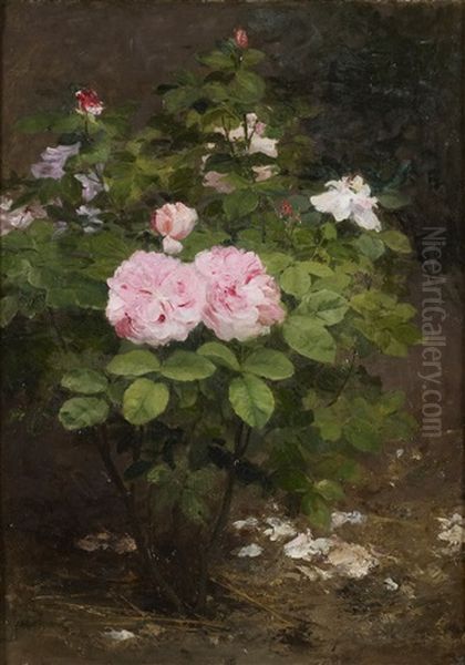 Rosier Oil Painting by Achille Theodore Cesbron