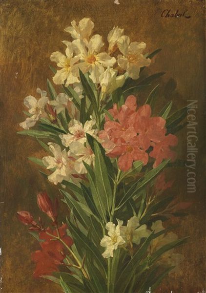 Rot Und Weis Bluhender Oleander Oil Painting by (Pierre-Adrien) Chabal-Dussurgey