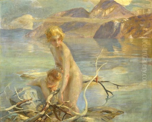 Banistas A Orillas De Un Lago Oil Painting by Paul Emile Chabas