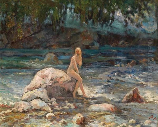 Nu A La Riviere Oil Painting by Paul Emile Chabas