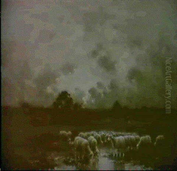 Les Moutons Au Crepuscule Oil Painting by Paul Chaigneau