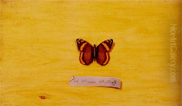 A Brown Butterfly Oil Painting by Jefferson David Chalfant