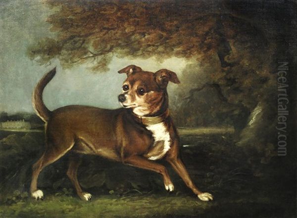 Portrait Of A Dog In A Landscape Oil Painting by Henry Bernard Chalon