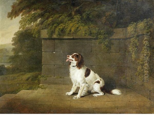 A Liver And White Spaniel Oil Painting by Henry Bernard Chalon