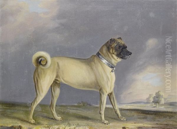 A Favourite Pug Bitch (+ A Pug Dog; Pair) Oil Painting by Henry Bernard Chalon