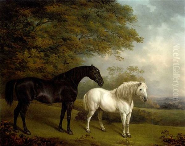 A Black Hunter And A Grey Pony In A Wooded Landscape Oil Painting by Henry Bernard Chalon