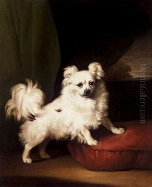 Her Favourite - A Portrait Of A White Papillon by Henry Bernard Chalon