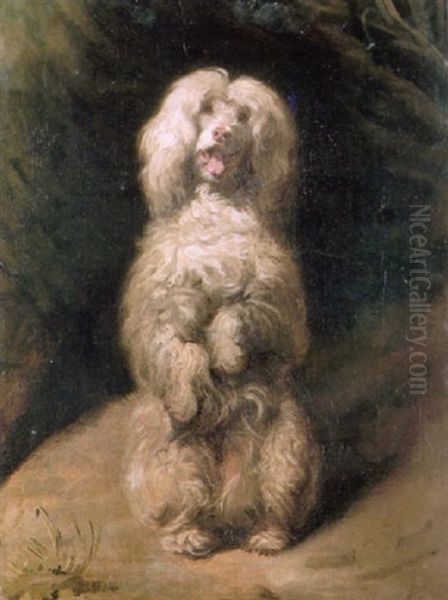 The Begging Poodle Oil Painting by Henry Bernard Chalon