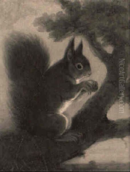 A Red Squirrel On A Branch Oil Painting by Henry Bernard Chalon