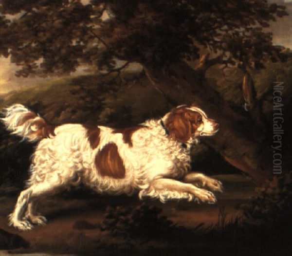 English Water Spaniel, 'quaile' Oil Painting by Henry Bernard Chalon