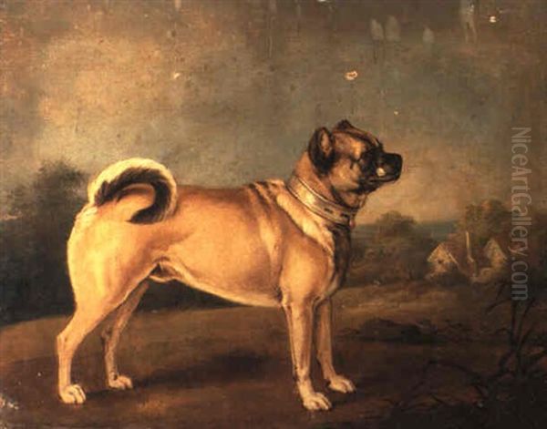 A Favourite Pug Oil Painting by Henry Bernard Chalon