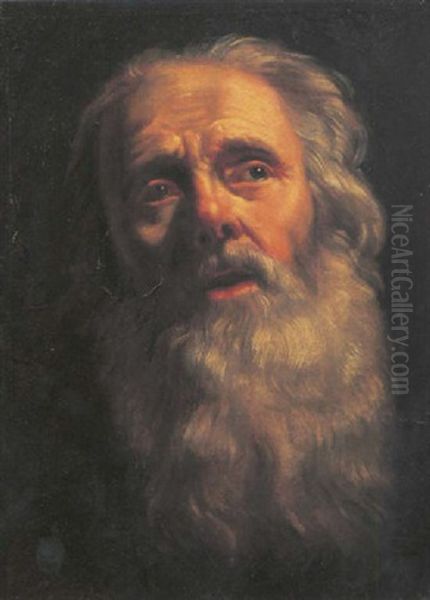 The Head Of A Bearded Old Man Oil Painting by Philippe de Champaigne