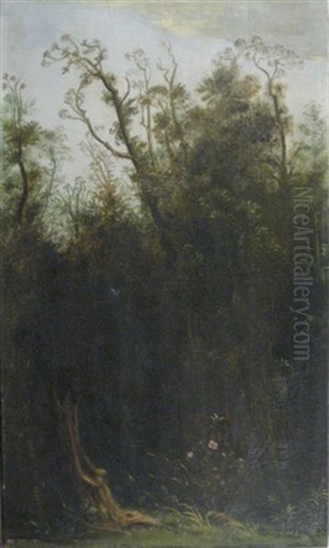 Urwald by Theodore Champion