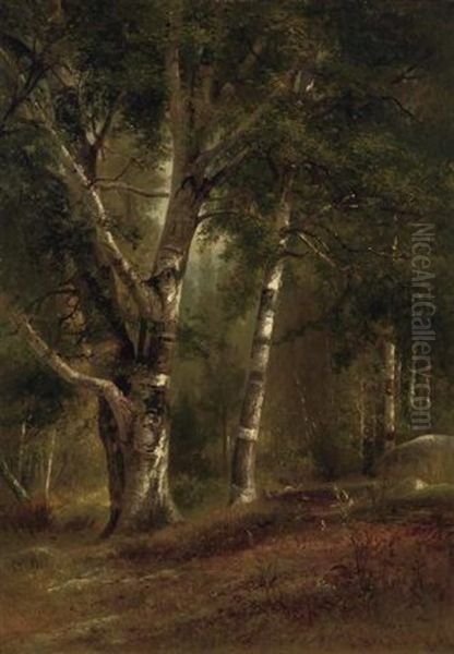 Birches In A Forest Clearing Oil Painting by Benjamin Champney