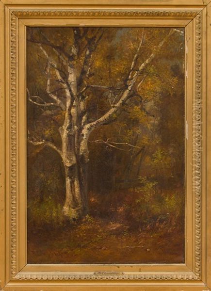 Birch In Autumn Oil Painting by Benjamin Champney