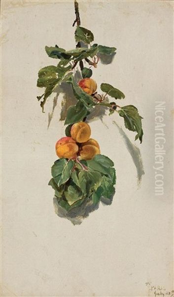 Peaches On A Branch Oil Painting by Conrad Wise Chapman