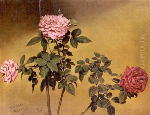 Rose Branches (+ Vase Of Roses, 1895; 2 Works) Oil Painting by Conrad Wise Chapman