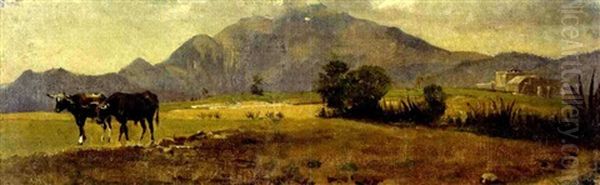 A Mountainous Mexican Landscape With Cattle Oil Painting by Conrad Wise Chapman