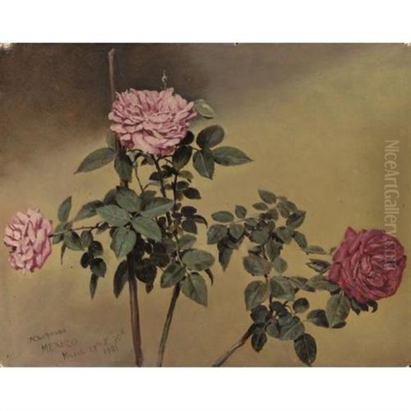 Study Of Roses Oil Painting by Conrad Wise Chapman