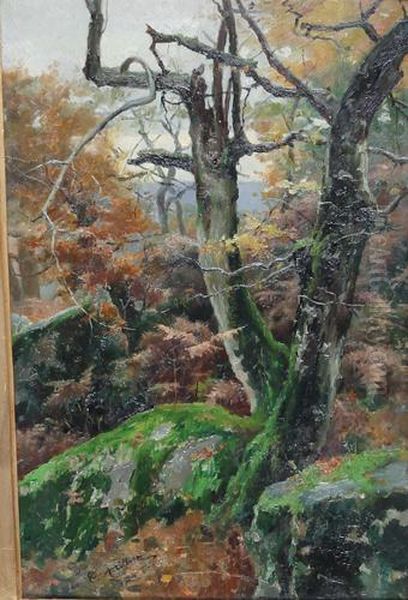 Sottobosco Oil Painting by Torello Ancillotti