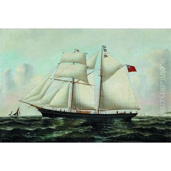 The Topsail Schooner 