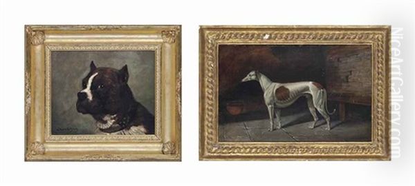 A Bulldog (2 Works) Oil Painting by Jules Chardigny