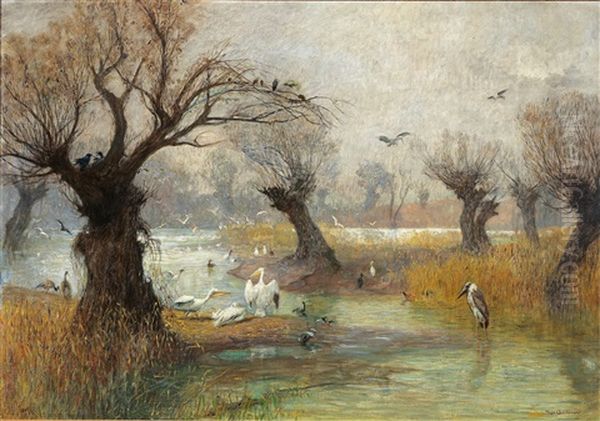 Pelicans On The Riverbank Oil Painting by Hugo Charlemont