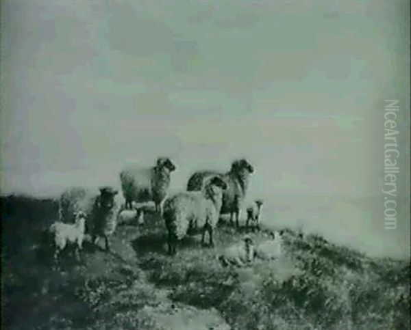 Sheep On A Clifftop Oil Painting by James Charles