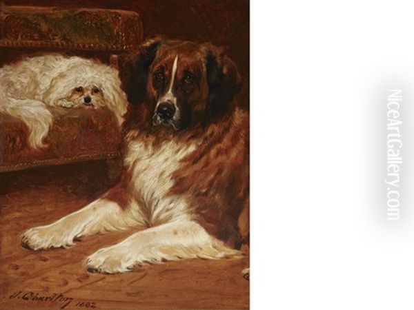 Best Friends: A Saint Bernard & A Maltese Oil Painting by John Charlton