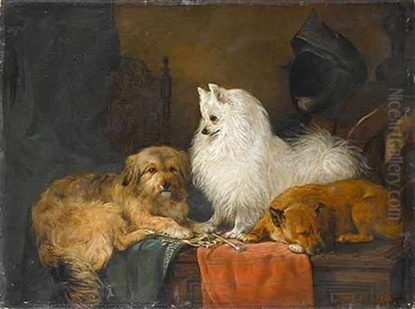 A Volpino Italiano And Other Dogs In An Interior Oil Painting by John Charlton