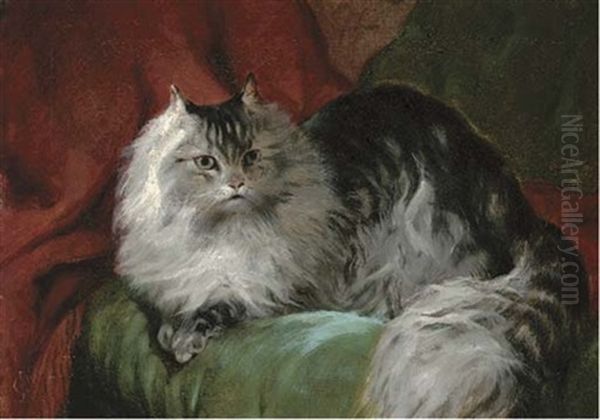 A Comfy Persian Cat, On A Green Cushion Oil Painting by John Charlton