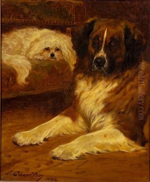 Best Friends - A Portrait Of Two Dogs Oil Painting by John Charlton