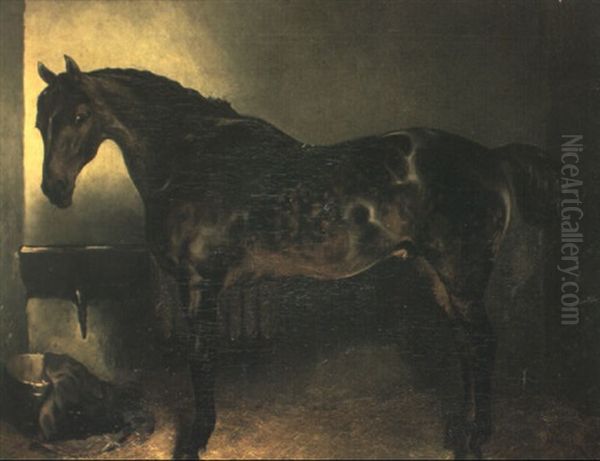 A Dark Bay Hunter In A Stable Oil Painting by John Charlton