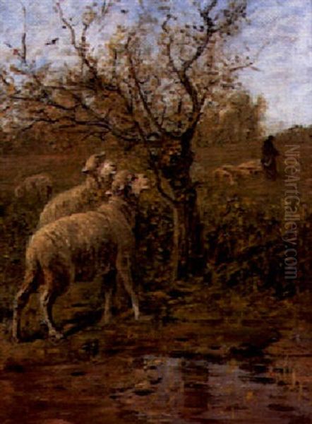 Le Berger Et Ses Moutons Oil Painting by Albert Charpin